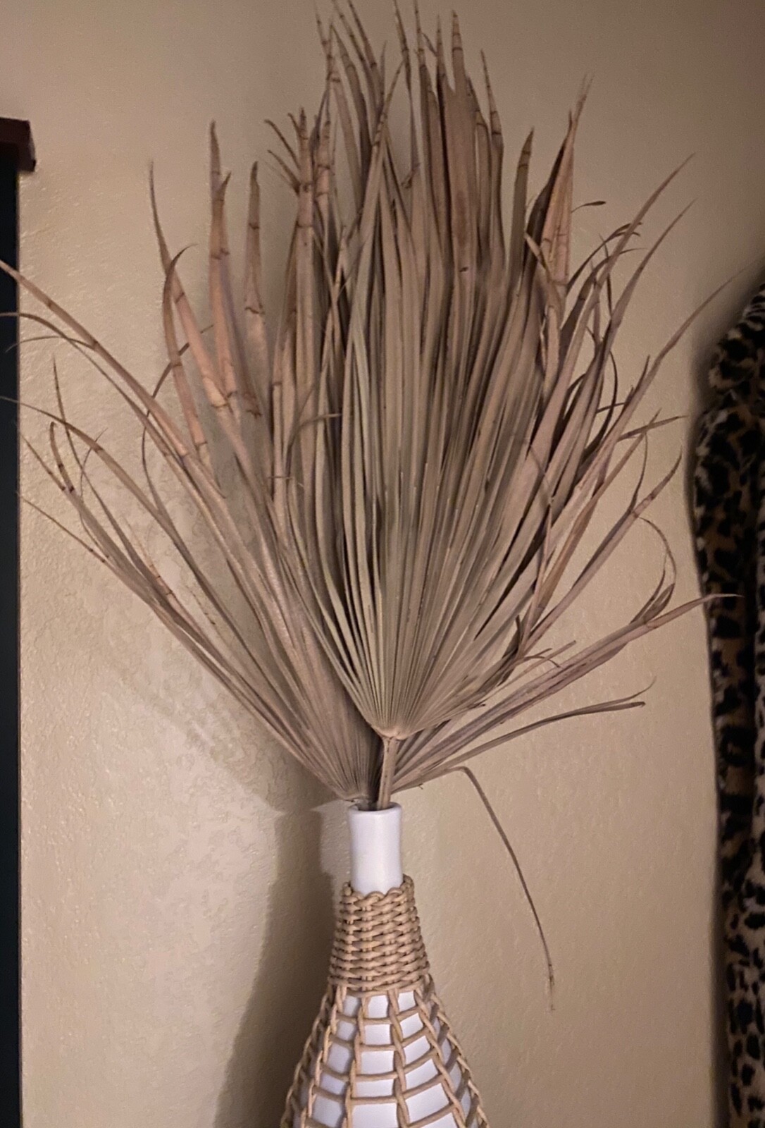 12 Fans!! $40 Dried Mexican Fan Palms, Plants,Natural decor, BOHO dried flowers,