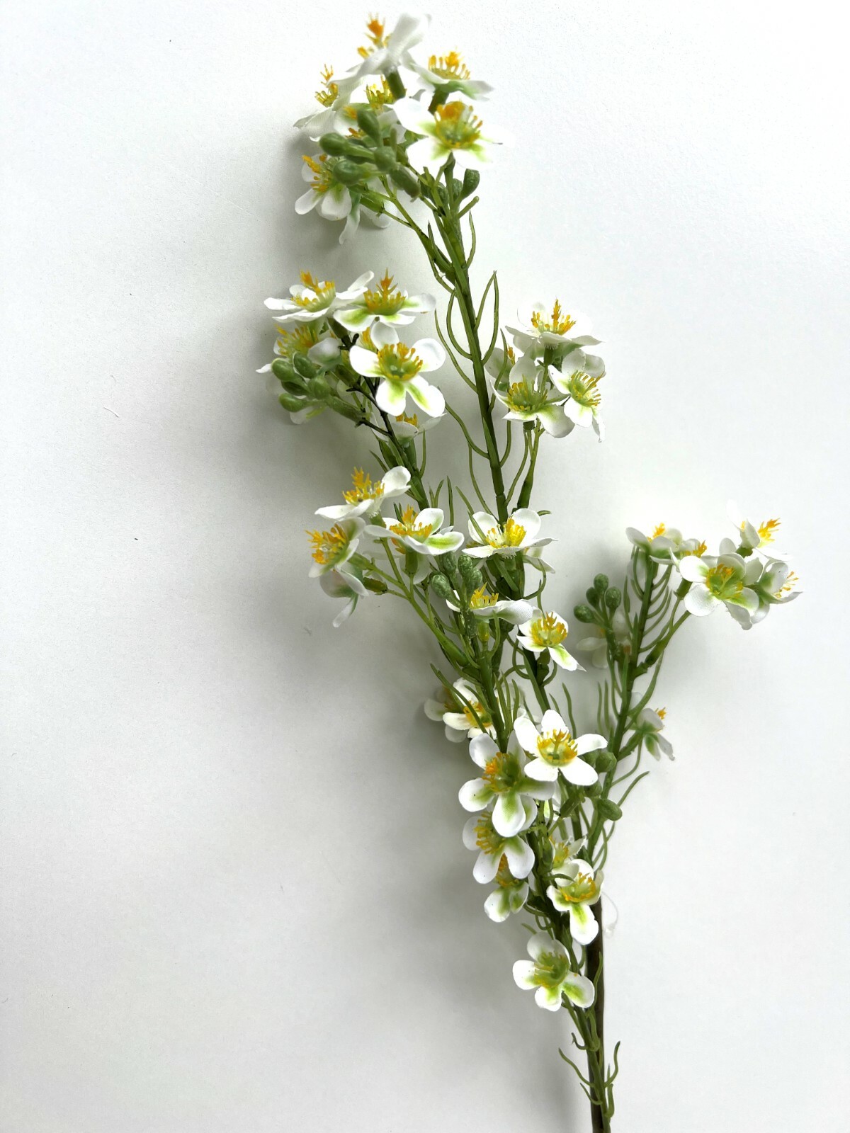 Geraldton Wax Flower Australian Native Flowers White Green Wax Stem Artificial 1