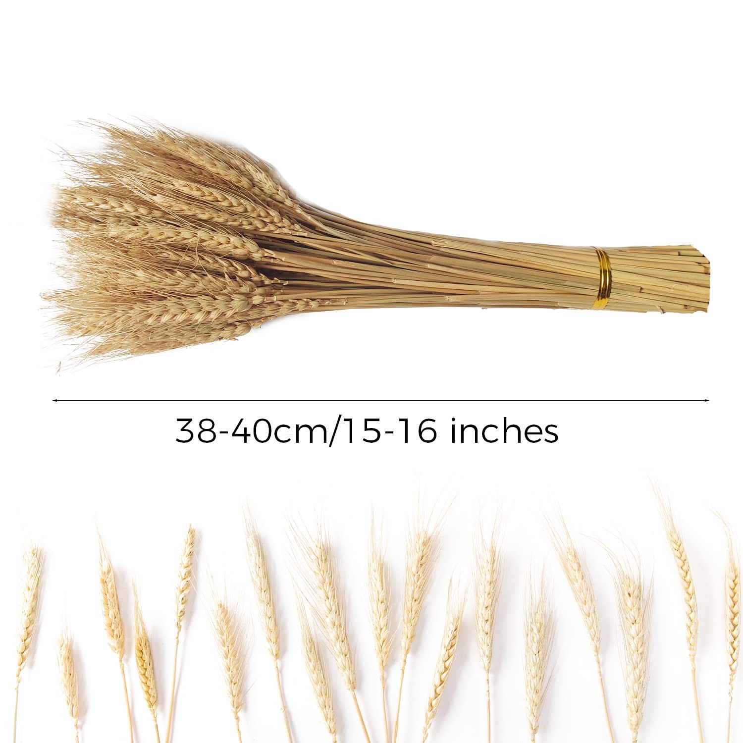 Dried Wheat Stems 100PCS Natural Wheat Bundle Home Decor Crafts