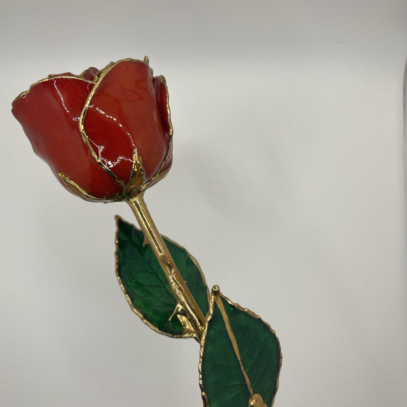 Genuine Real Rose Trimmed In 24 Kt. Gold Long Stem Rose Red Rose Green Leaves
