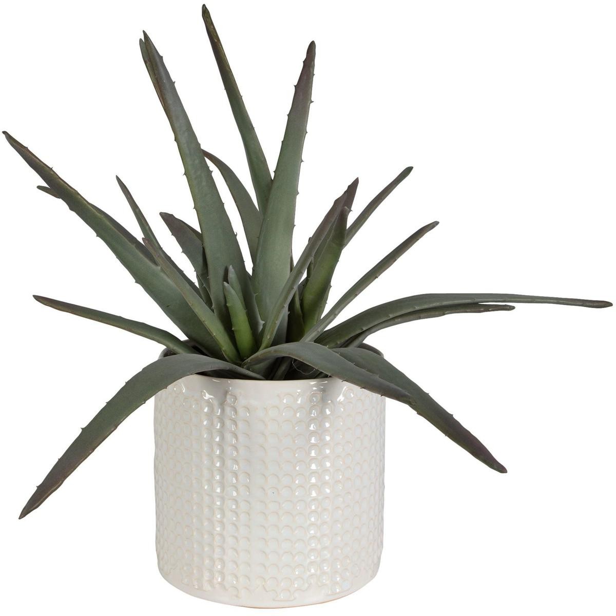 Uttermost 60210 Taos Green with Ivory and Beige Glaze Aloe Centerpiece