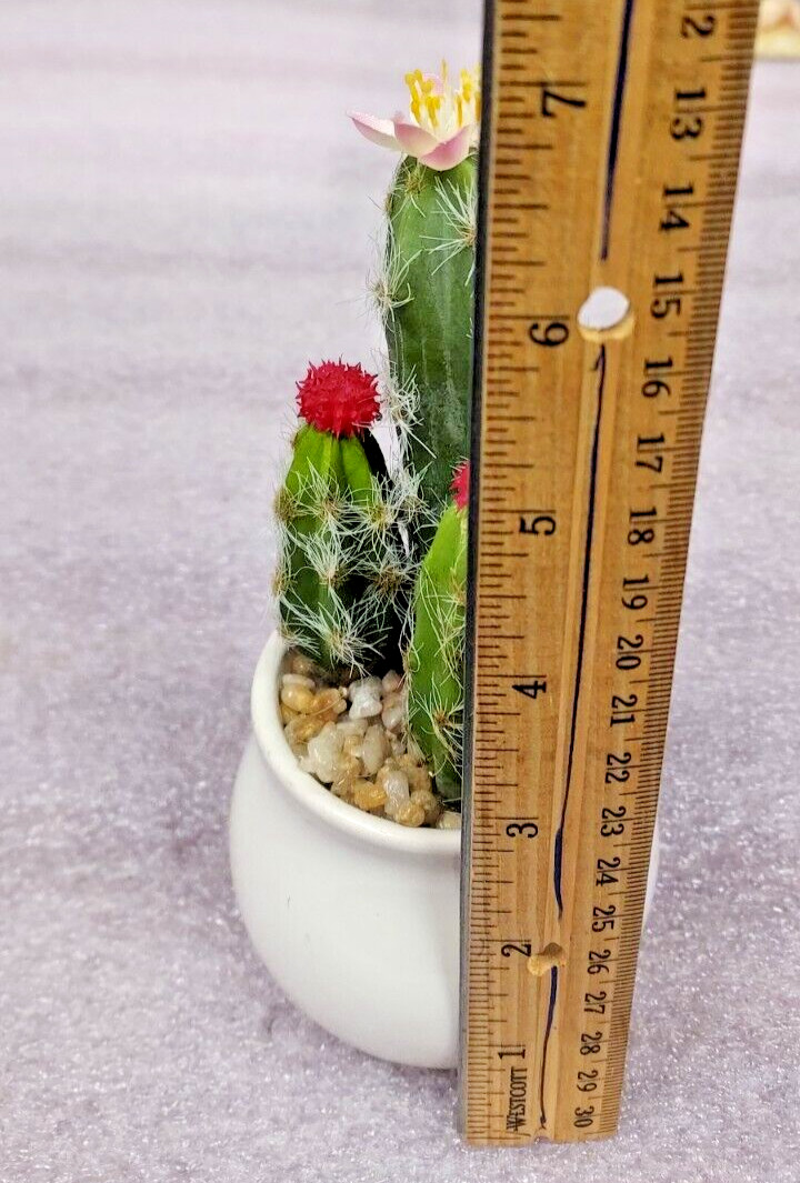 ARTIFICIAL CACTUS RED, PINK, YELLOW FLOWERS IN WHITE CERAMIC ROUND POT 7″
