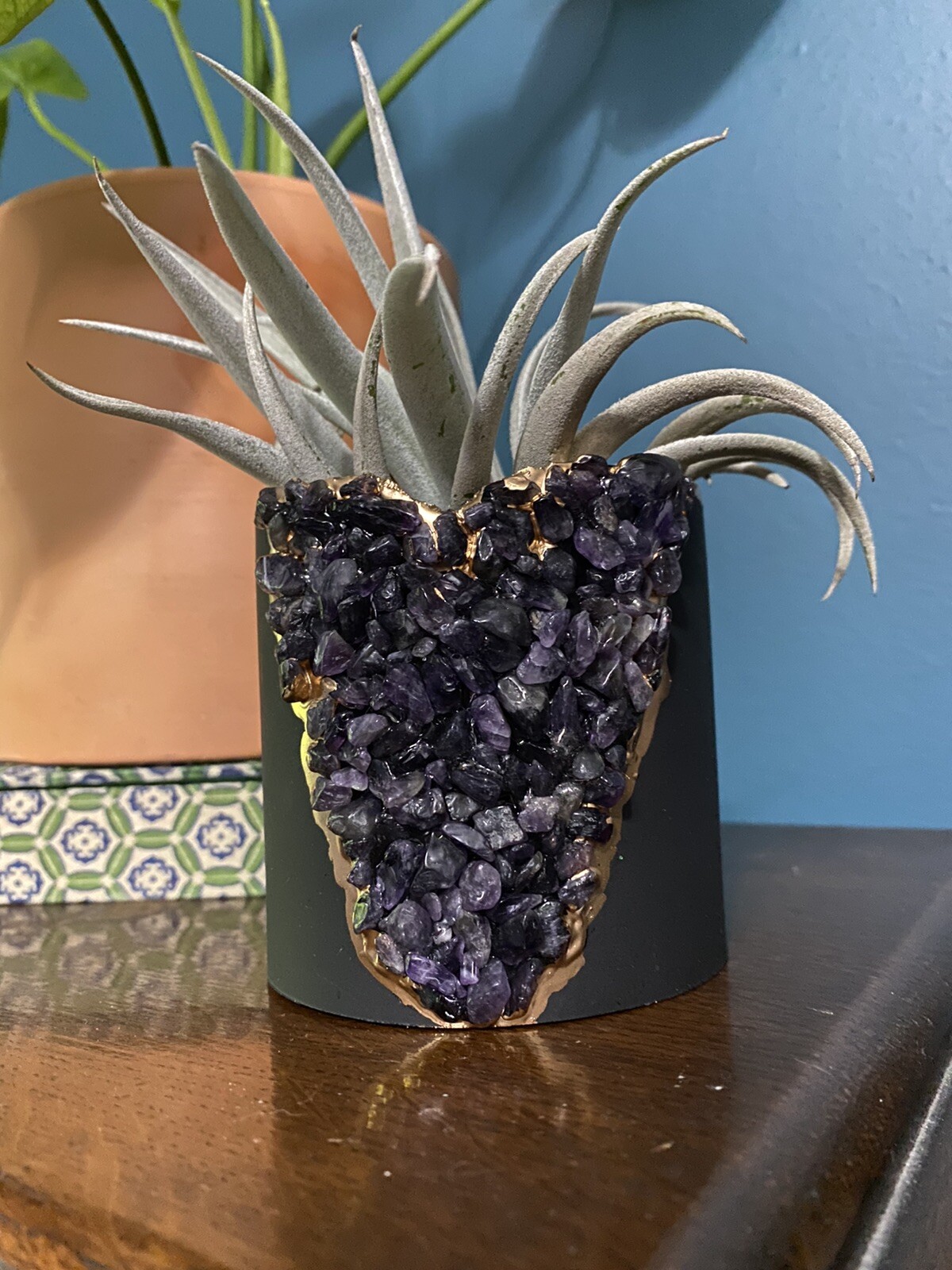 planter pots for succulents