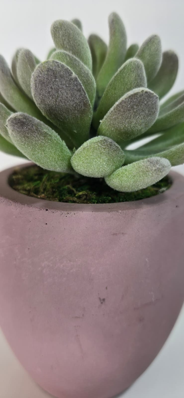 Modern Concrete Succulent in Pink Pot – Handmade Decor, No Water Needed!