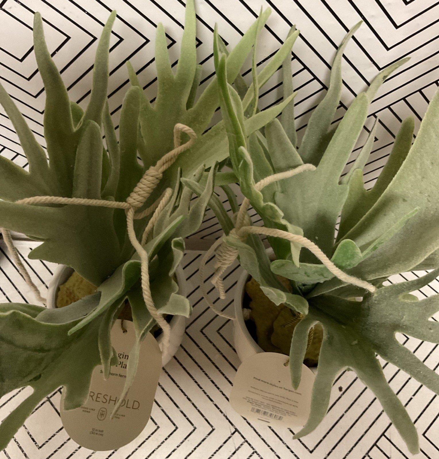 🥥 Threshold 12″ Hanging Staghorn Fern Artificial Plant🆕LOT OF 2‼️