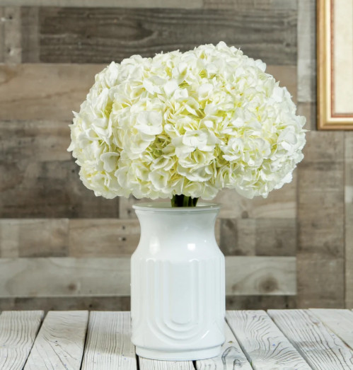 Fresh Cut Hydrangea White 10 Stems – Premium Quality Flowers Head sz 7.6-8.5 in