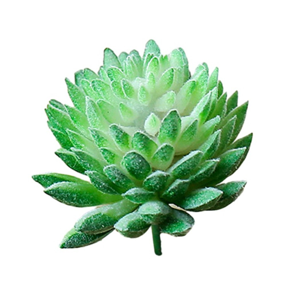 Realistic Artificial Succulent Simulation Plant Perfect for Home and Office