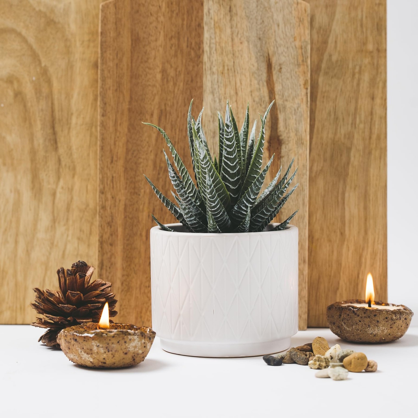 Artificial Succulent Plant in Matte White Ceramic Pot | 7″ high Dark Green Al…