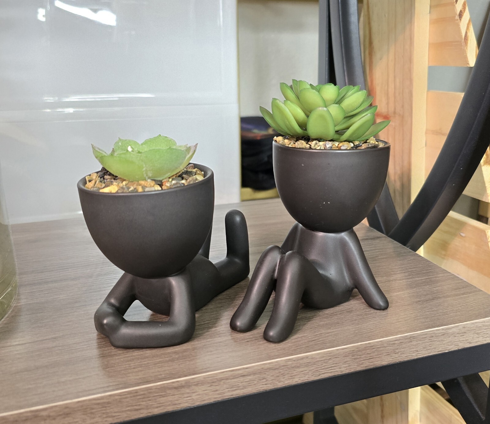 Fake Succulents, Artificial Plants Succulents in Black Modern Human Shaped