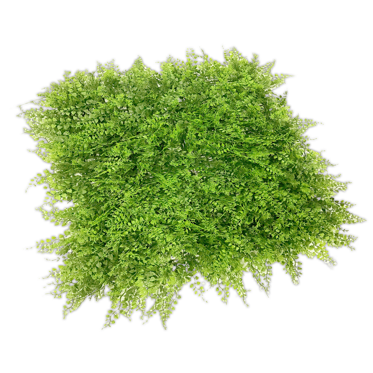 TANG 20″x20″ Fern Artificial Greenery Wall D??cor Panel