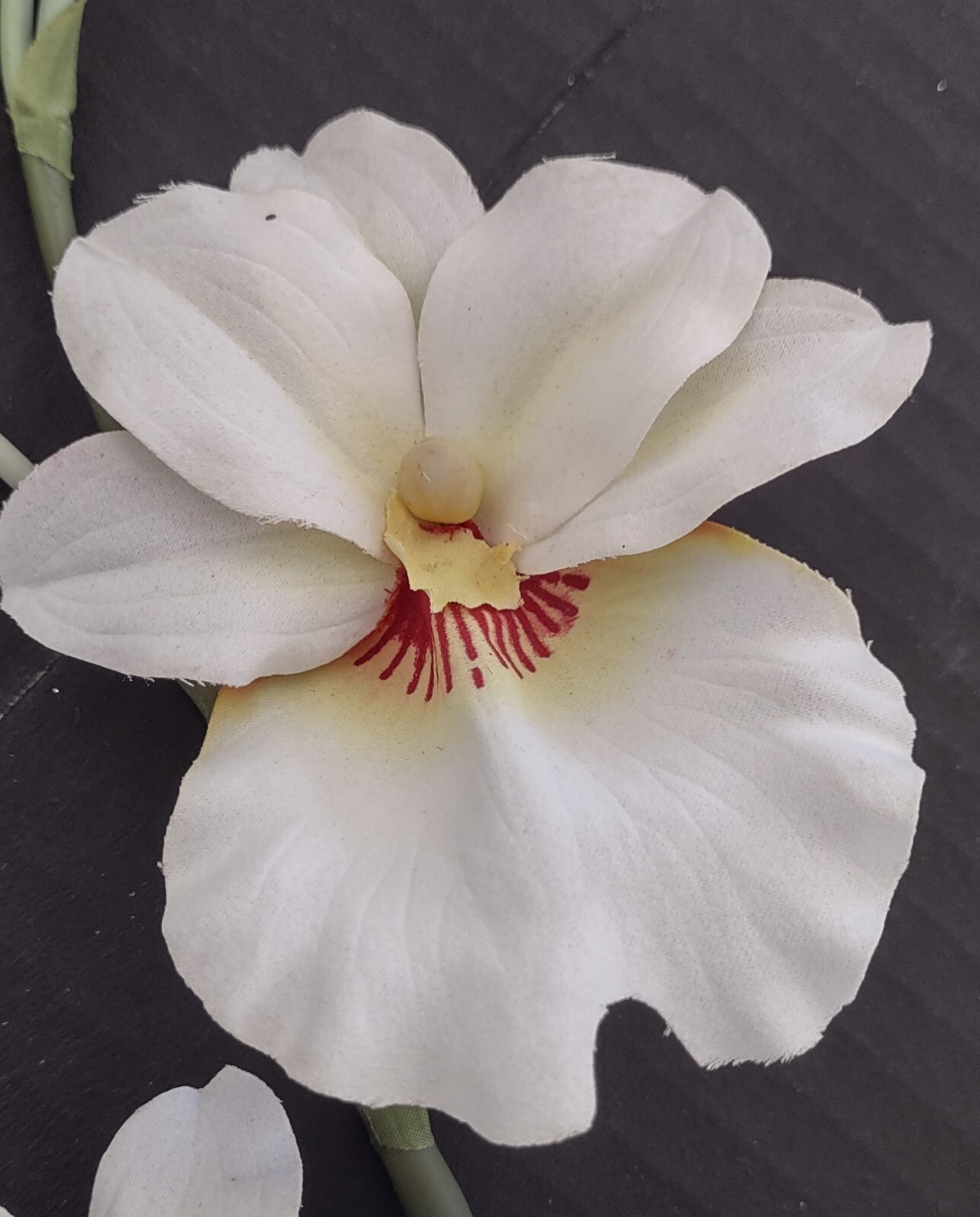 ARTIFICIAL miltoniopsis orchid plant CREAM