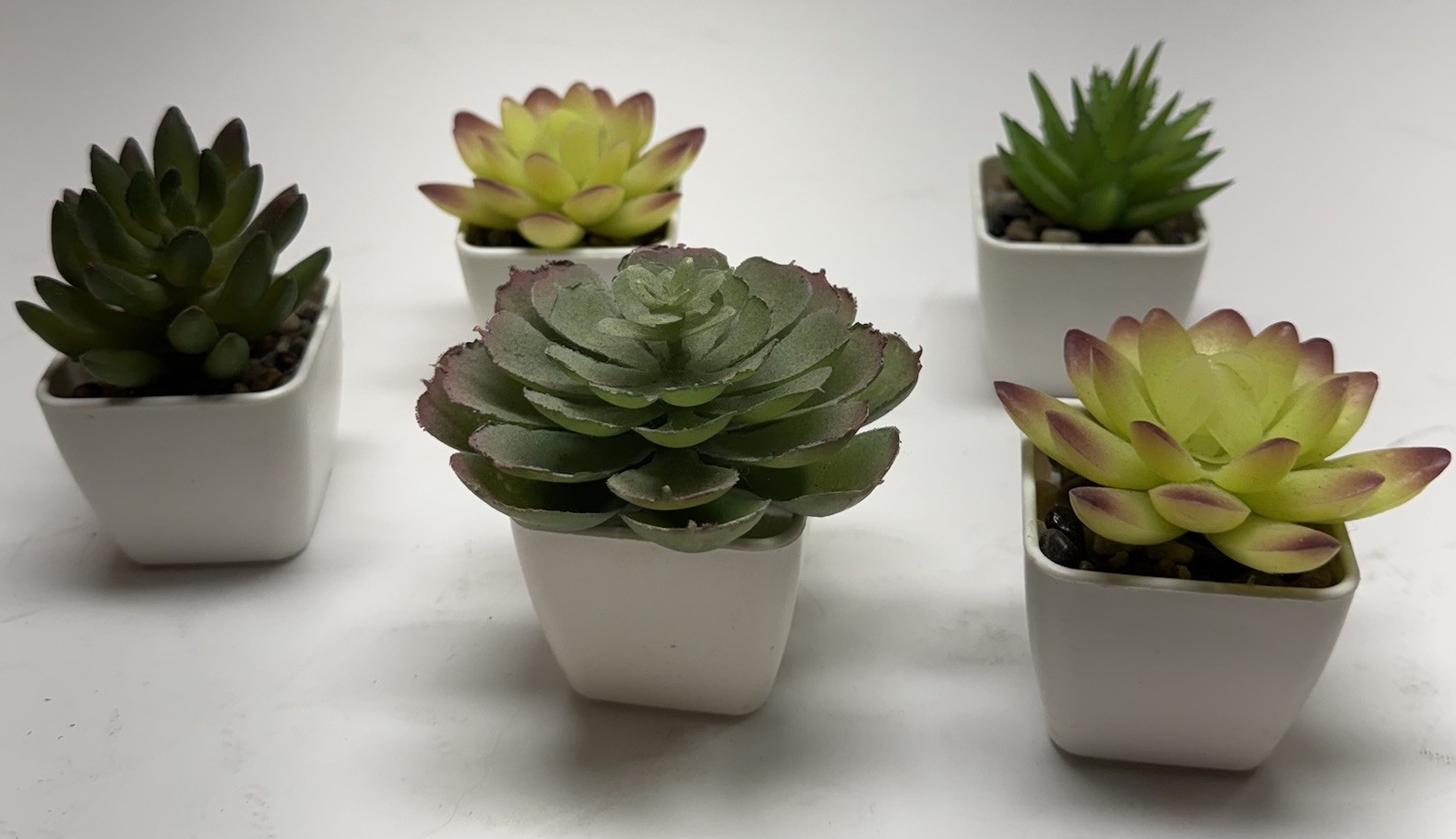 Gift Set of 5 Mini Artificial Succulent Plants in Square White Plastic Pots