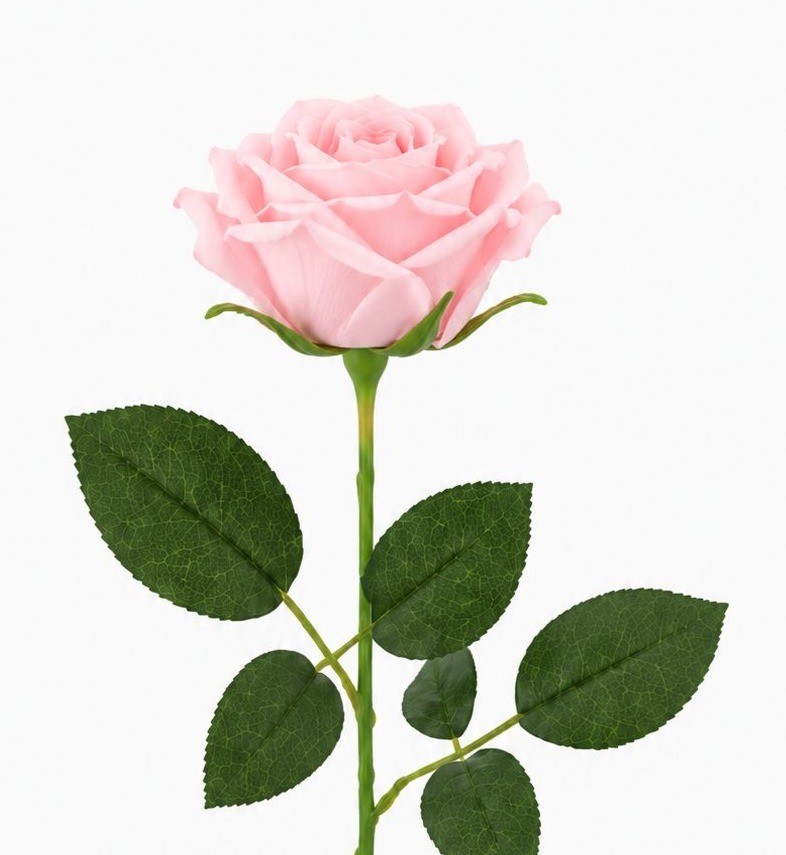 Set of 6 Artificial Light Pink Rose Stems 20 Inch Faux Roses Blush Pink Wedding