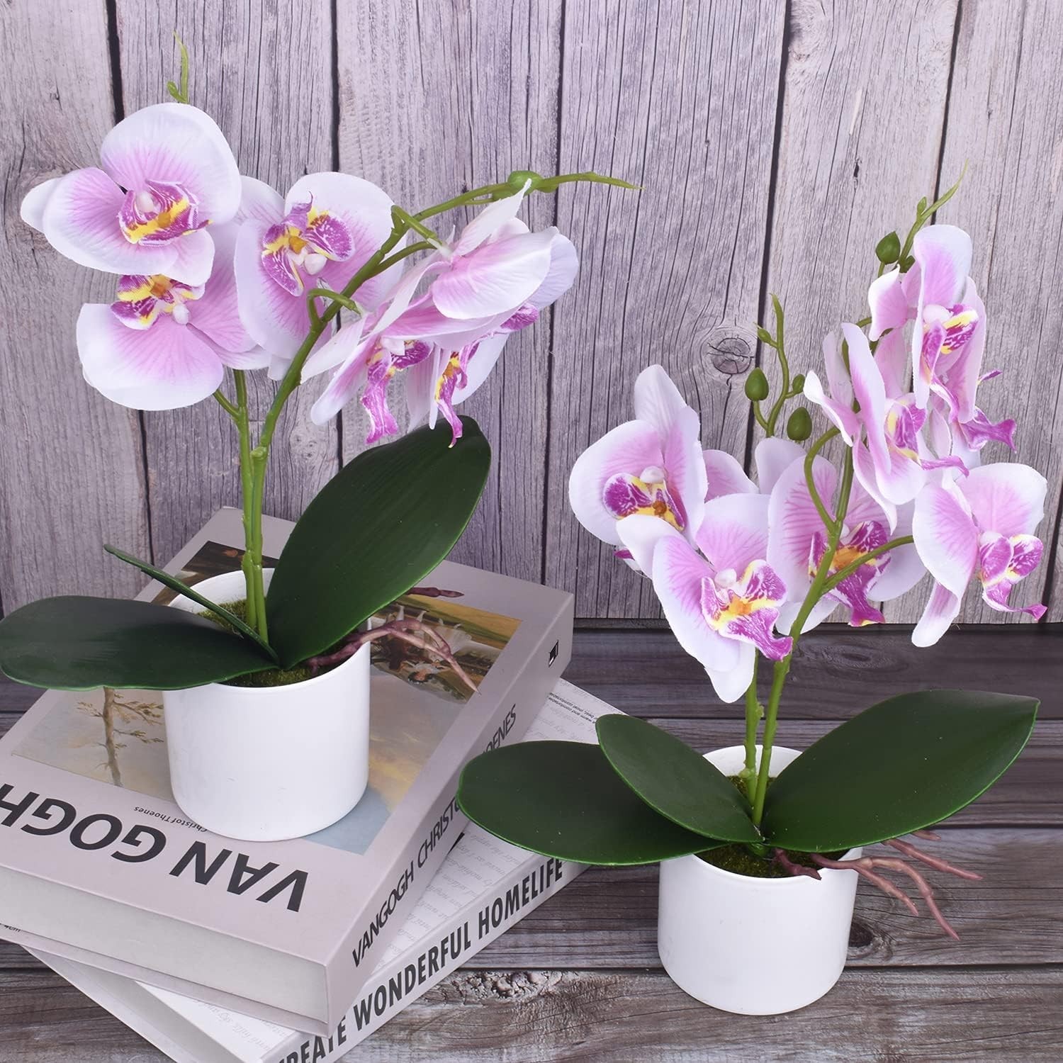 2-Piece Set of Flexible Silk Orchids in Round Plastic Vases – Versatile Decor