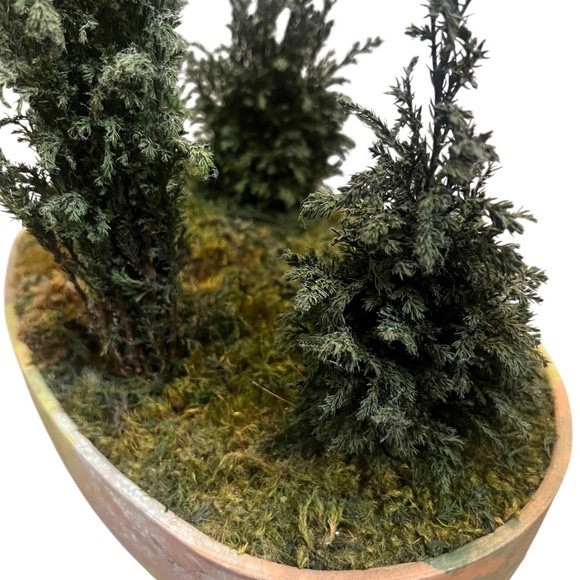 FOREVER GREEN ART Potted Quartet Mini Cypress Tree In Oval Terra Cotta Planter
