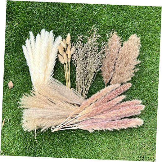 100Pcs Pampas Grass Boho Home Decor 17 inch Natural Dried Flowers-Pampas Grass