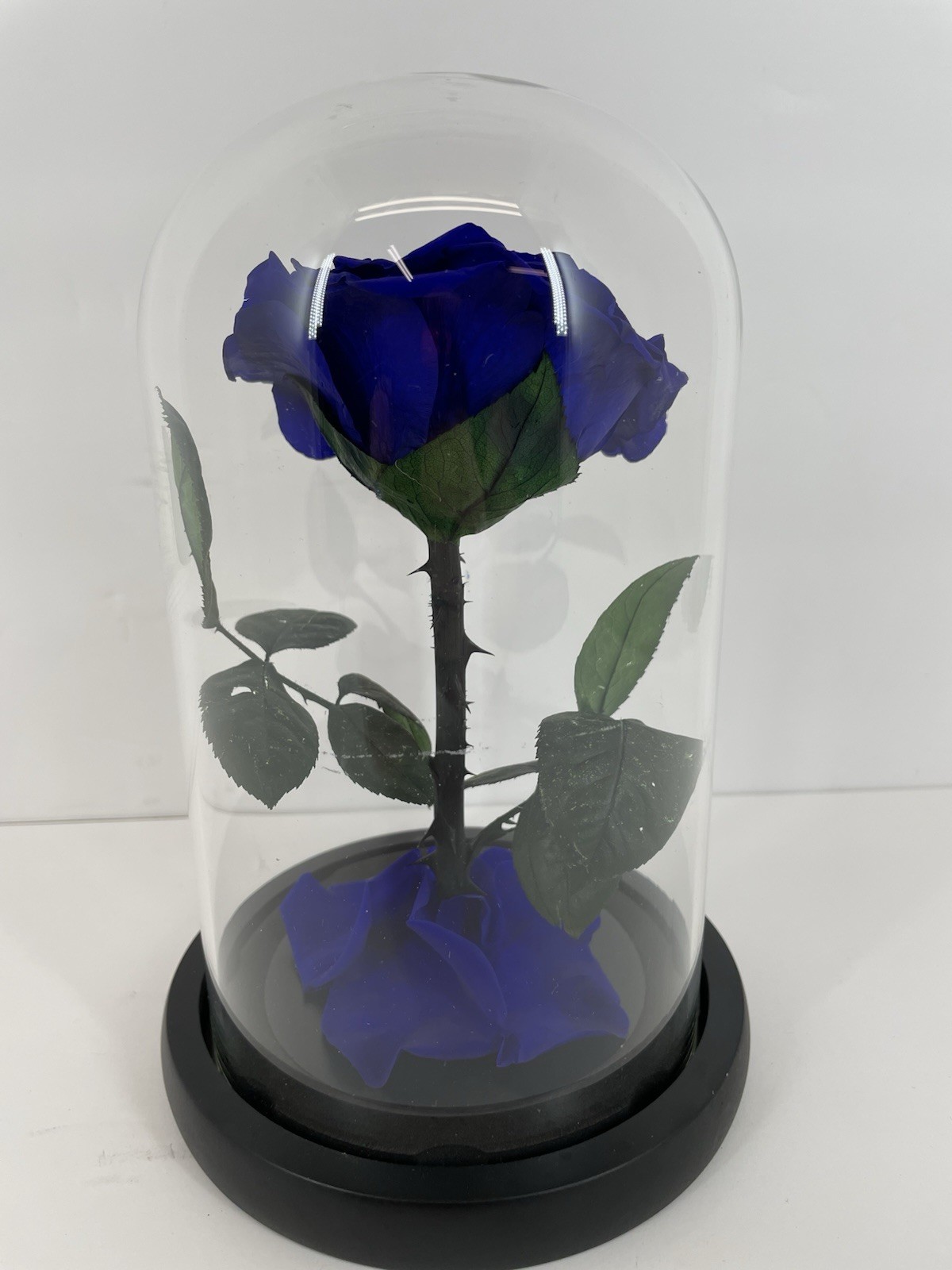 Preserved Rose in Glass Dome Eternal Enchanted Forever Purplish Blue