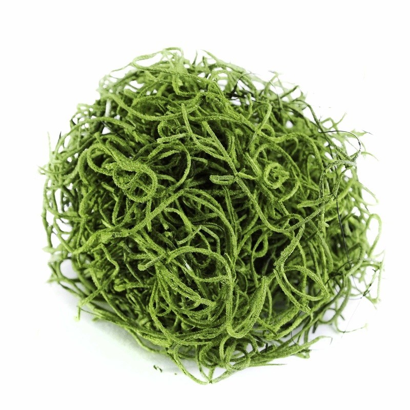 True Green Preserved Spanish Moss Garden Crafting Floral Supplies Pet Friendly