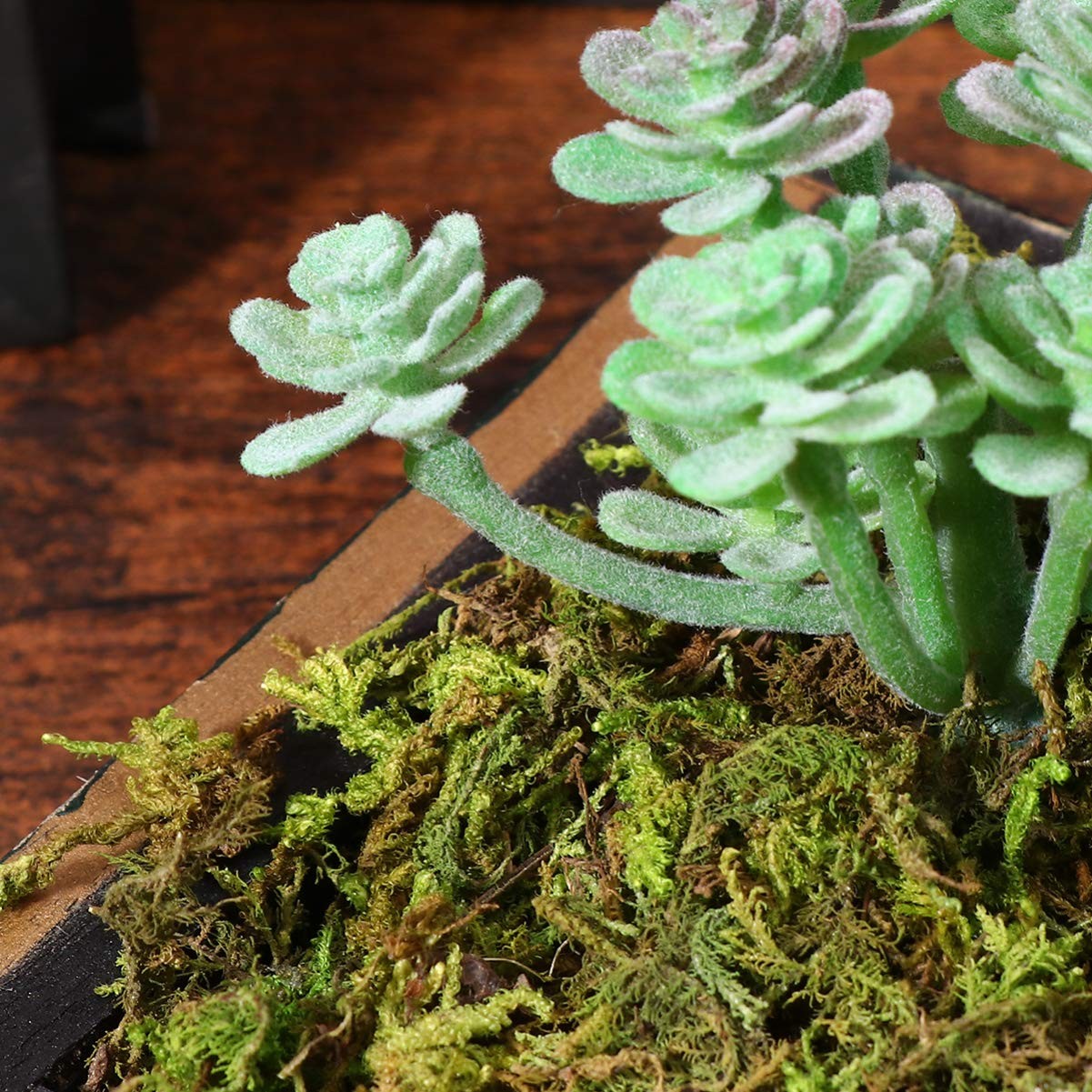 1 Pack Artificial Moss Fake Lichen Simulation Green Faux Pot DIY Decor 60g