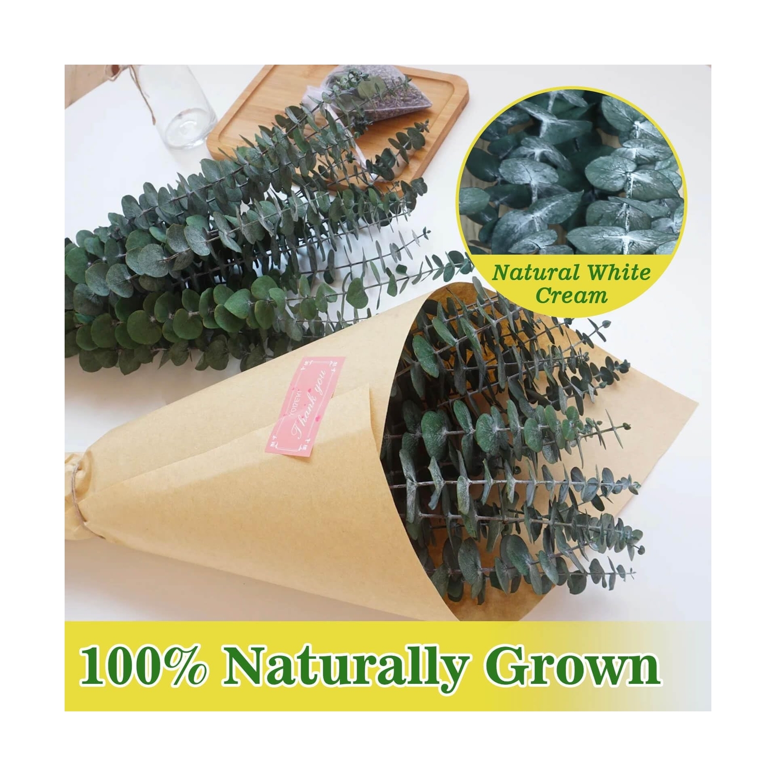 11 PCS Real Dried Eucalyptus for Shower Hanging Decor- 17” Large Eucalyptus …