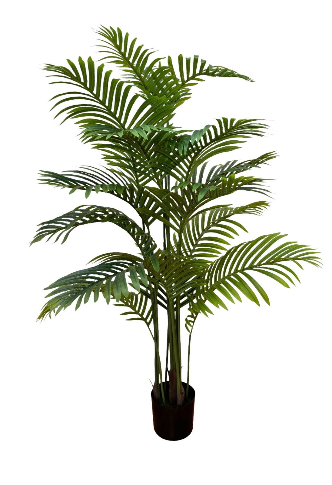 Wildwood & Cypress 52” Realistic Palm Tree Plant Variegated Foliage Indoor Faux
