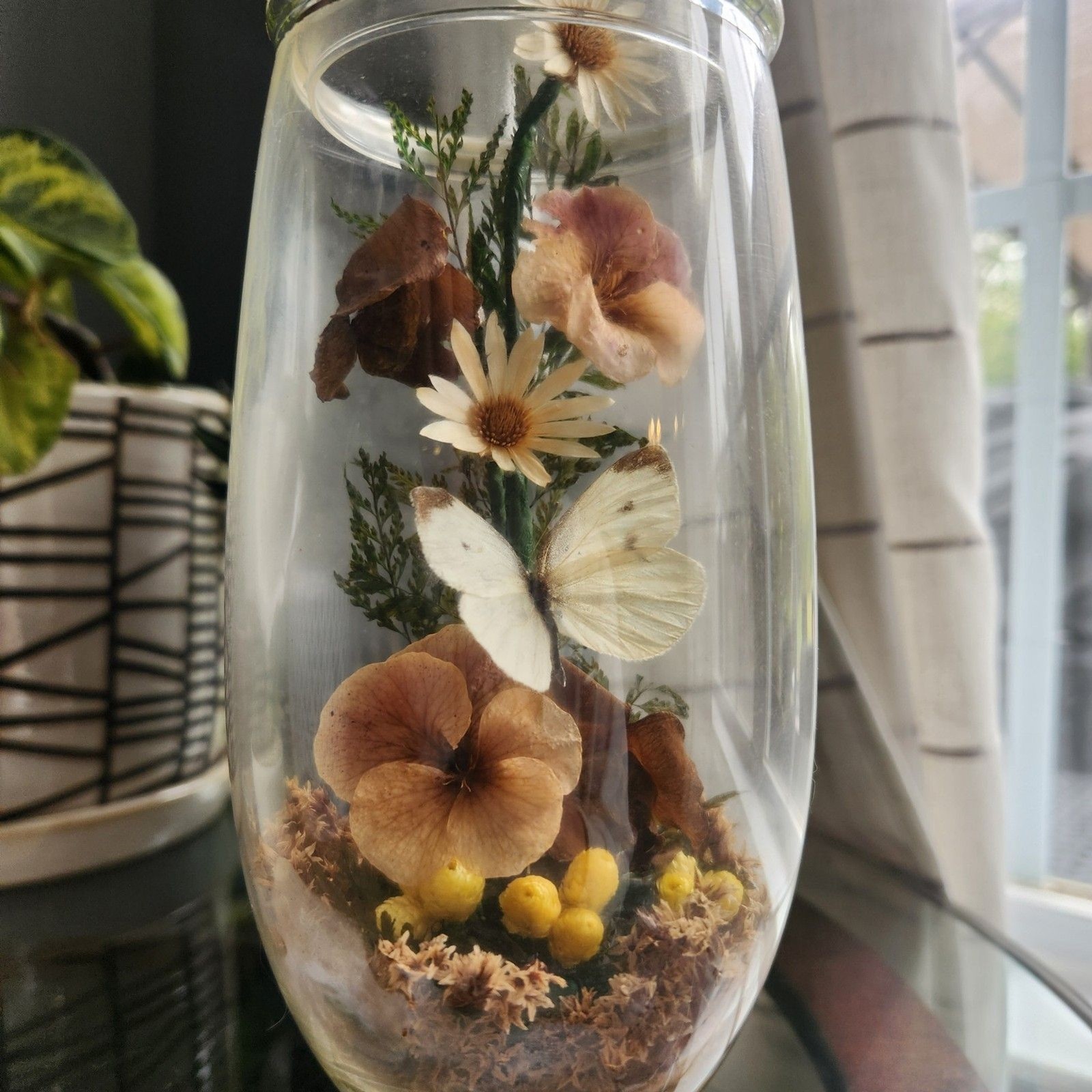 Vtg Apothecary Jar Sealed Butterfly Terrarium Floral Dried Flowers Cottagecore