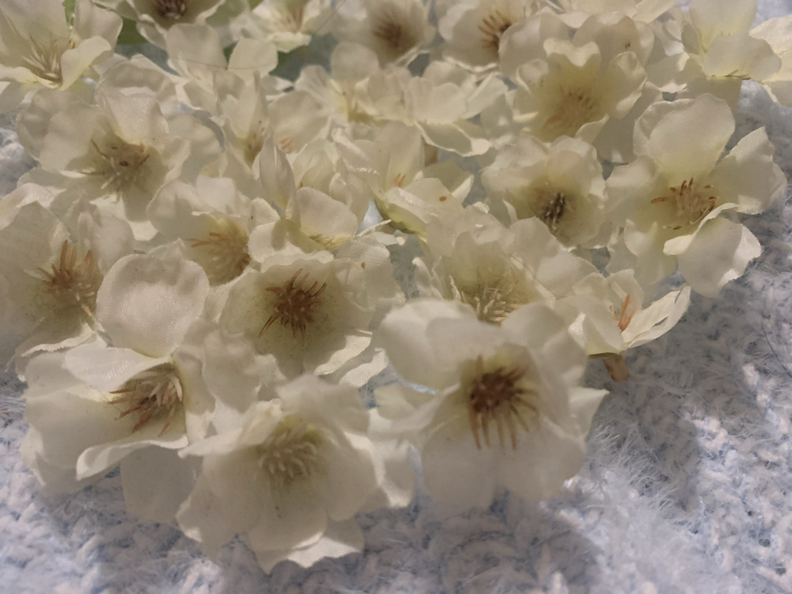 Lot Of 30 Small White Flower Blossoms