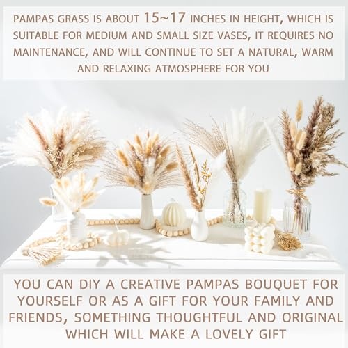 70PCS Natural Dried Pampas Grass Boho Home Decor Bouquet Phragmites 70 Pcs