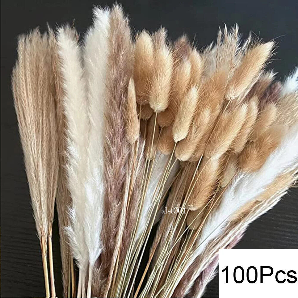 Grass Decor Home Decor Bouquet Natural Fluffy Dried Flowers for Wedding Floral