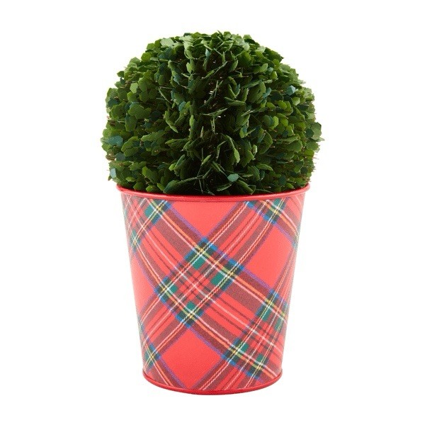 Mud Pie Large Boxwood Tartan Botanical Potted, Dark Green