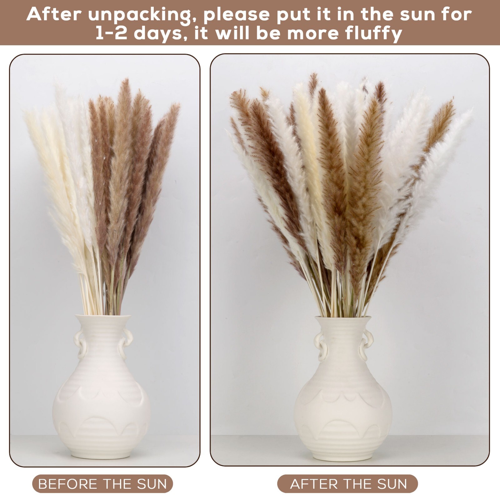 60 Piece Pampas Grass Bundle. 30 White Stems 30 beige/natural stems. 22″ Stems.