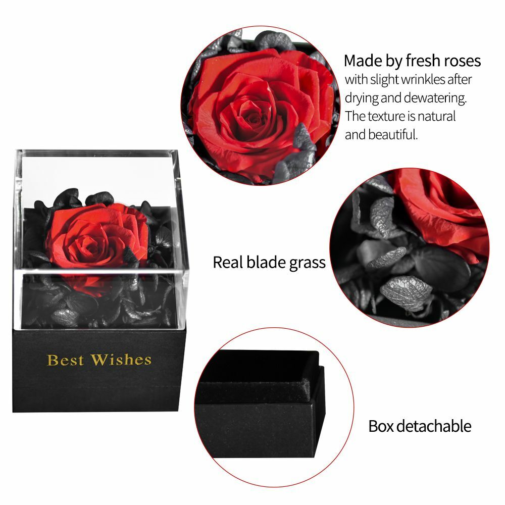 Preserved Fresh Rose Flower Jewelry Box Birthday Wedding Valentine Gifts Womens