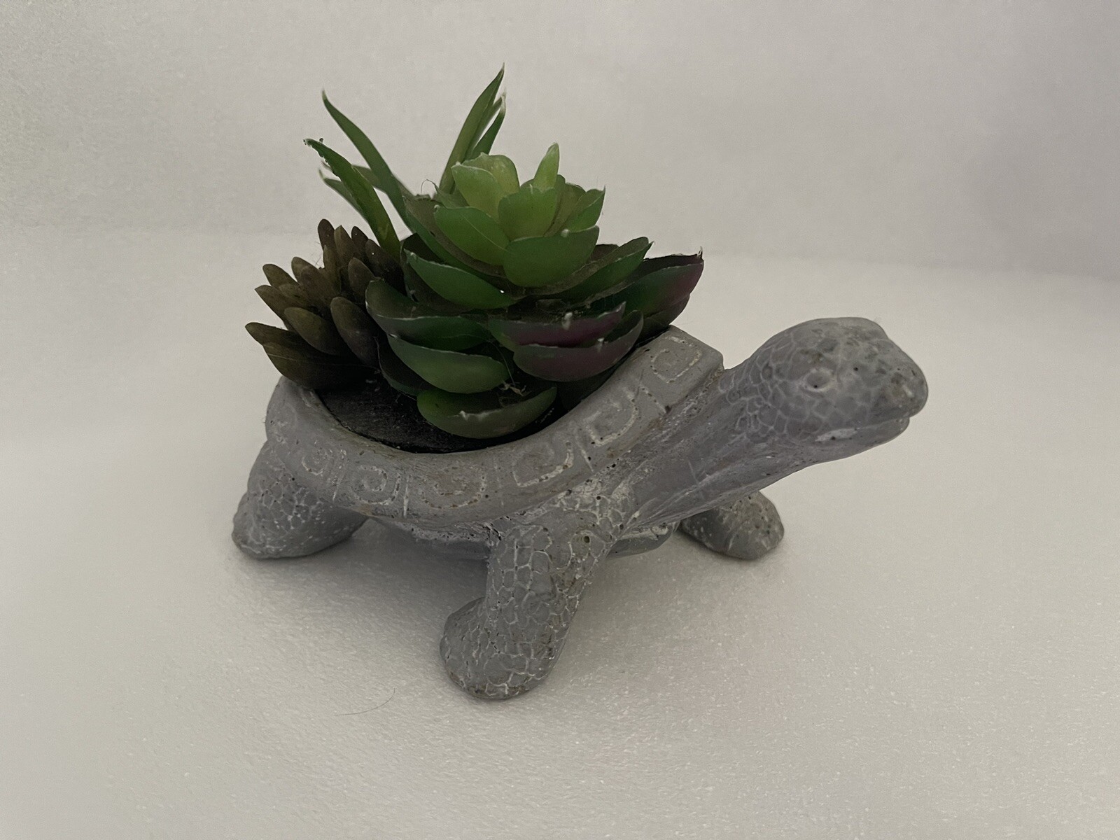 Carved Stone Turtle Potted With Faux Succulent Plants Garden Home Decor Swirls