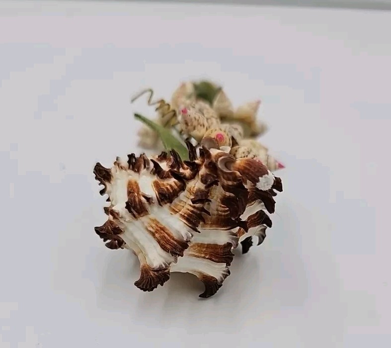 Vintage Sea Shell Bouquet of Flowers Floral Arrangement Kitsch Rare.
