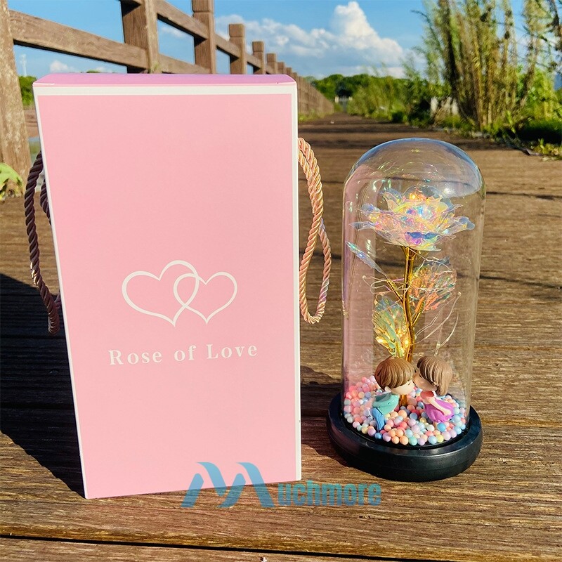 Enchanted Preserved Rose Flower In Dome Glass LED Night Light Anniversaries Gift