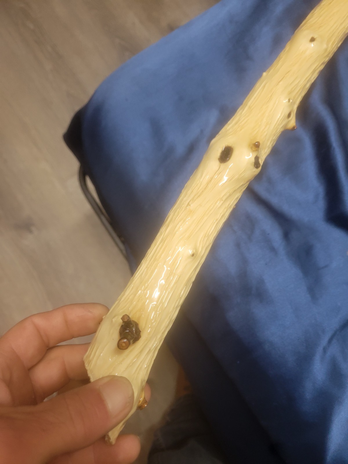 Epoxy Coated Willow Branch