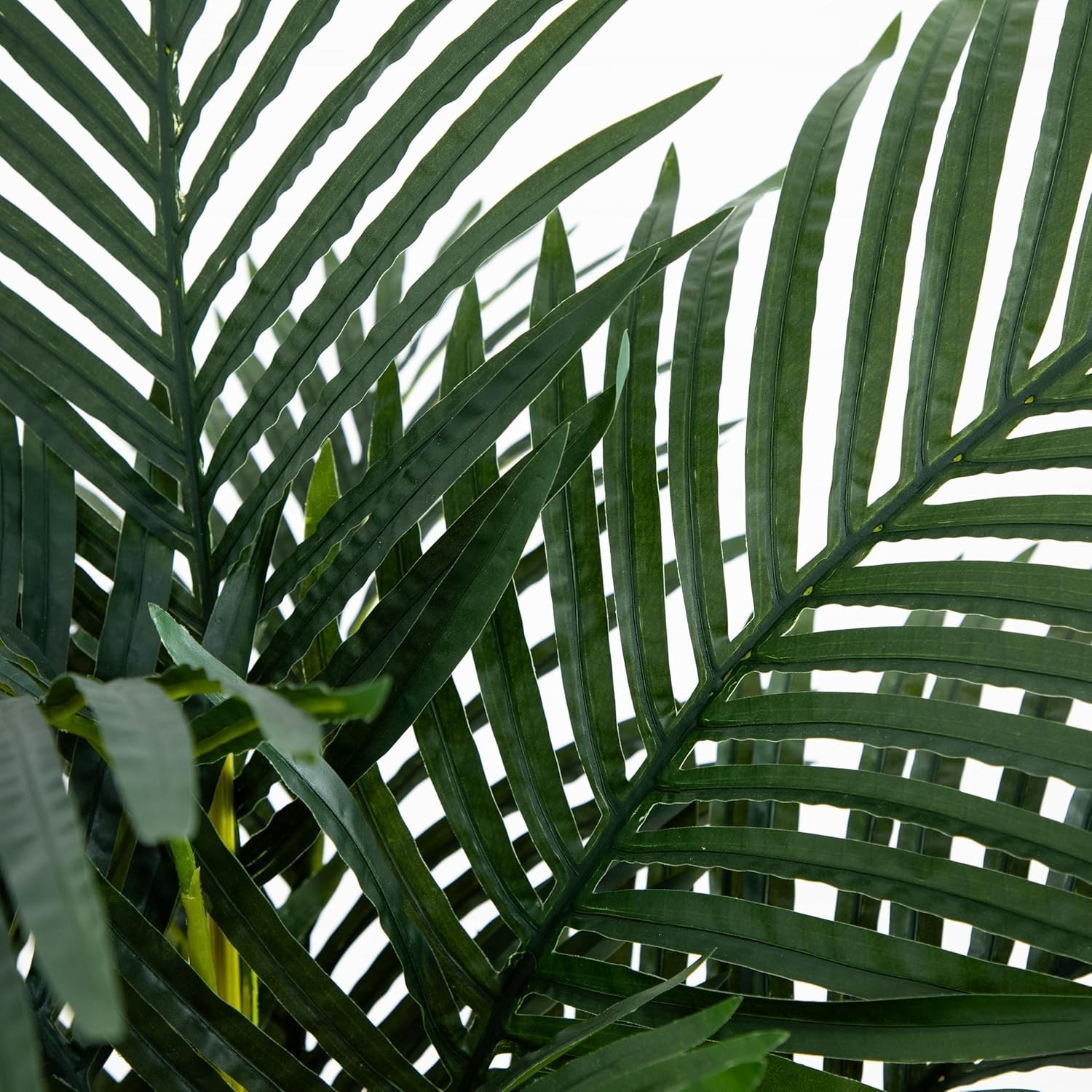 Elegant 4ft Golden Cane Palm Tree | Lush Foliage, Home Decor