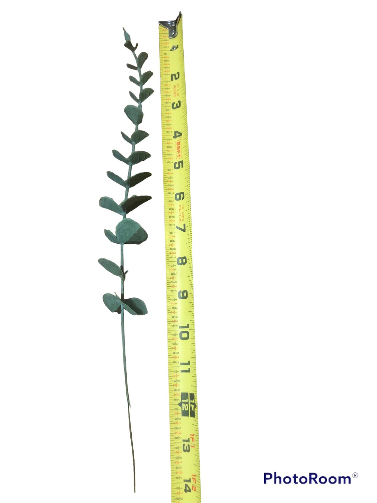 24Pcs Artificial Eucalyptus Leaves Stems 14”Tall Greenery Decor Faux Eucalyptus