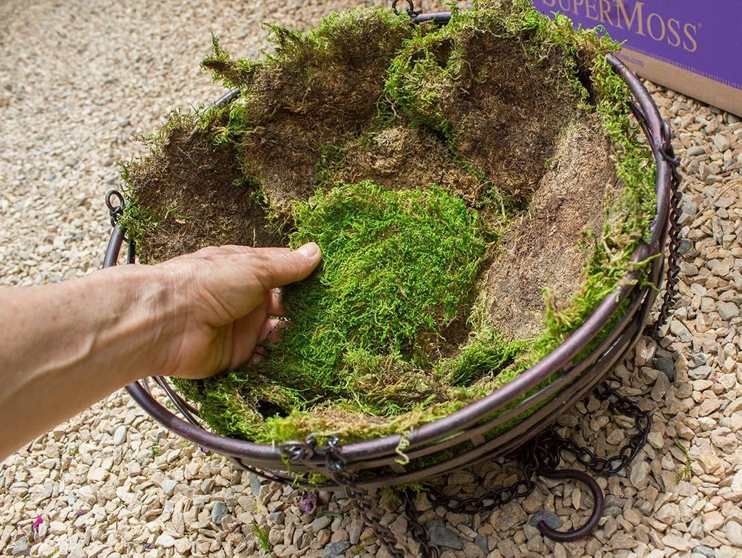 Sheet Moss for Terrariums, 20-24 sq ft