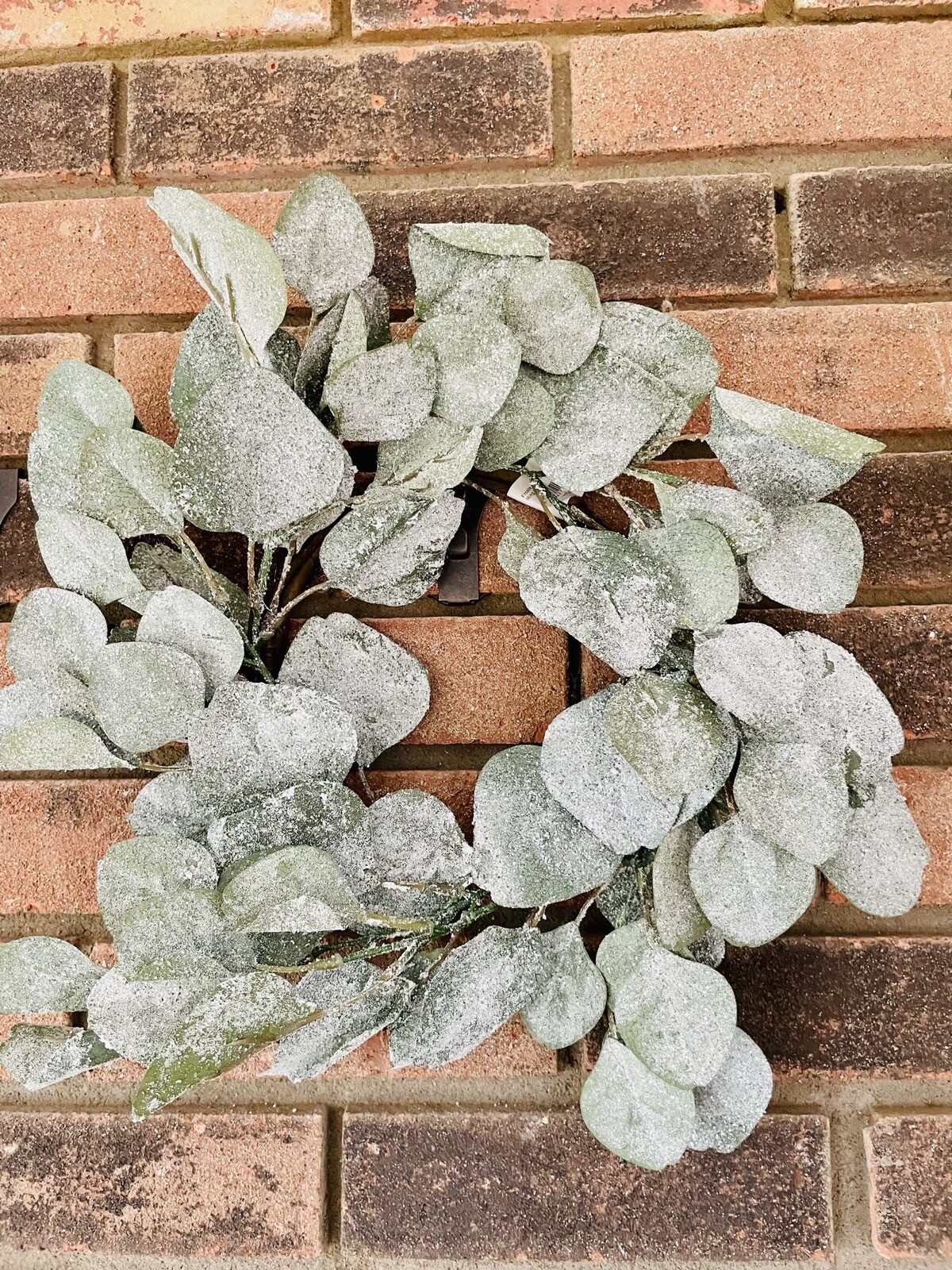 Frosted Dollar Eucalyptus Christmas Or Winter Small Wreath Ring, 6.5
