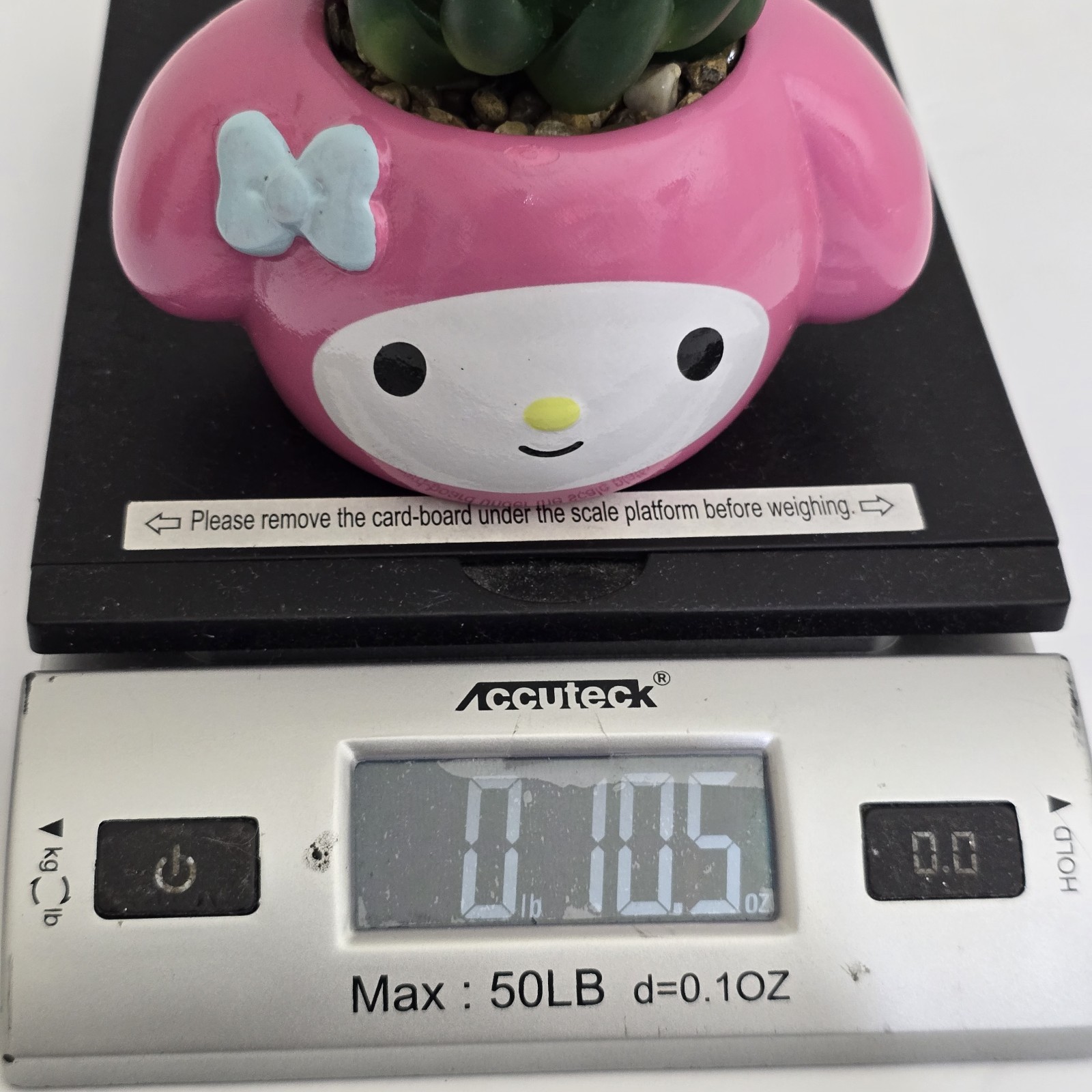 My Melody sanrio 3 Inch Ceramic Mini Planter Artificial Succulent Decor Pink