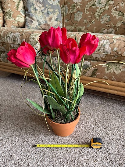 Spring flower bouquet of Red tulips in a pot (5 pieces)