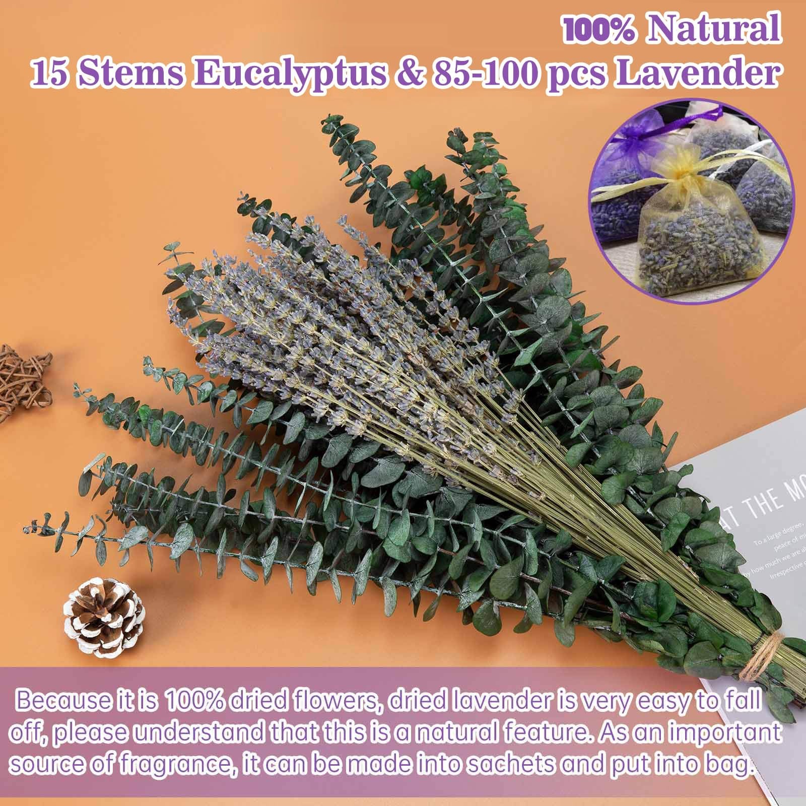 Mixed Dried Eucalyptus Stems with Lavender Flowers Bundle for Shower, 17” Na…