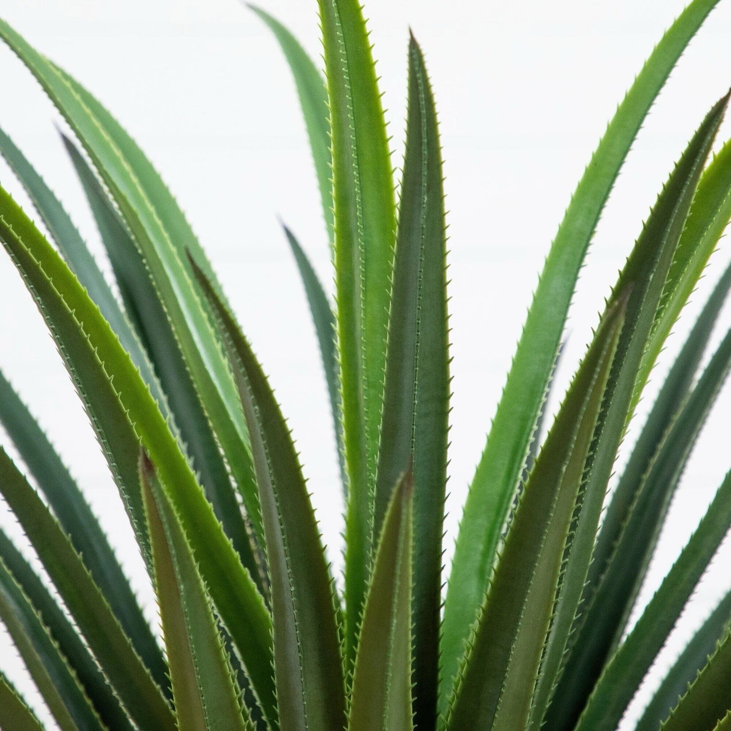 4′ UV Resistant Artificial Spiked Agave Plant in White Tower Planter