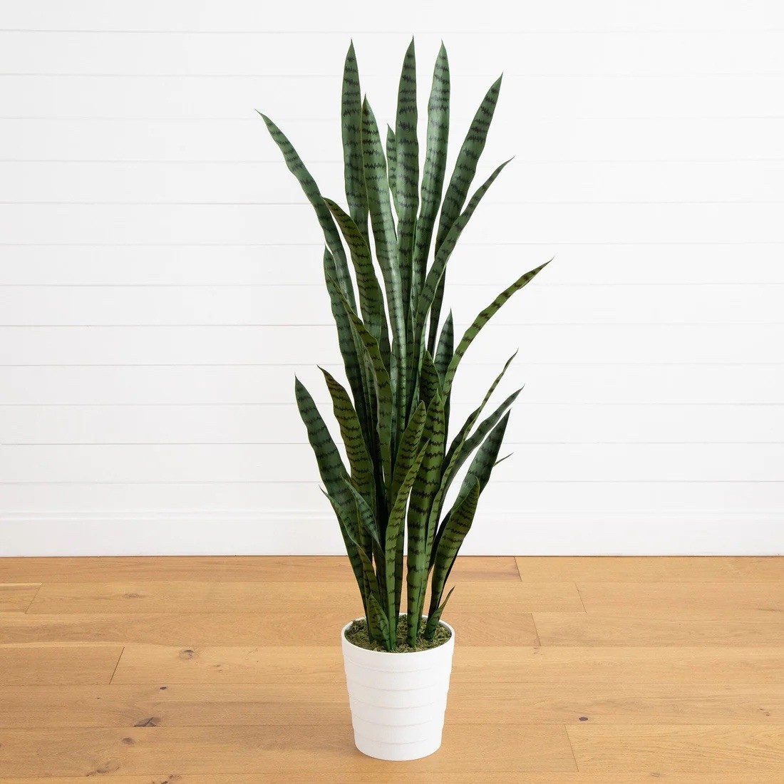 5’ UV Resistant Artificial Sansevieria Plant in White Planter (Indoor/Outdoor)