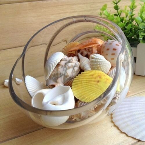 100g/bag Mixed Sea Beach Shells Crafts Seashells Home Party Deco Photo Props