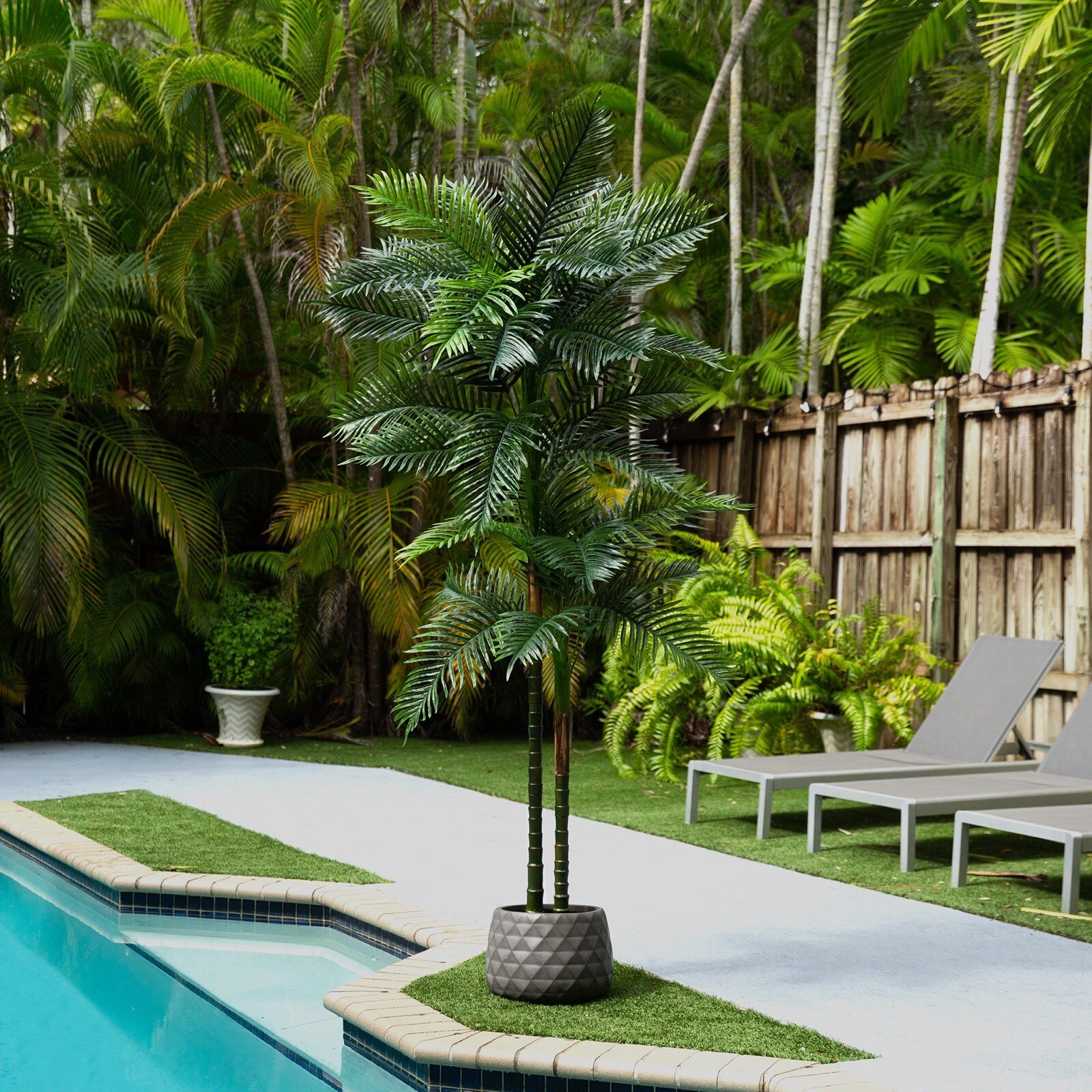 8’ Artificial Double Robellini Palm Tree UV (Indoor/Outdoor). Retail $239