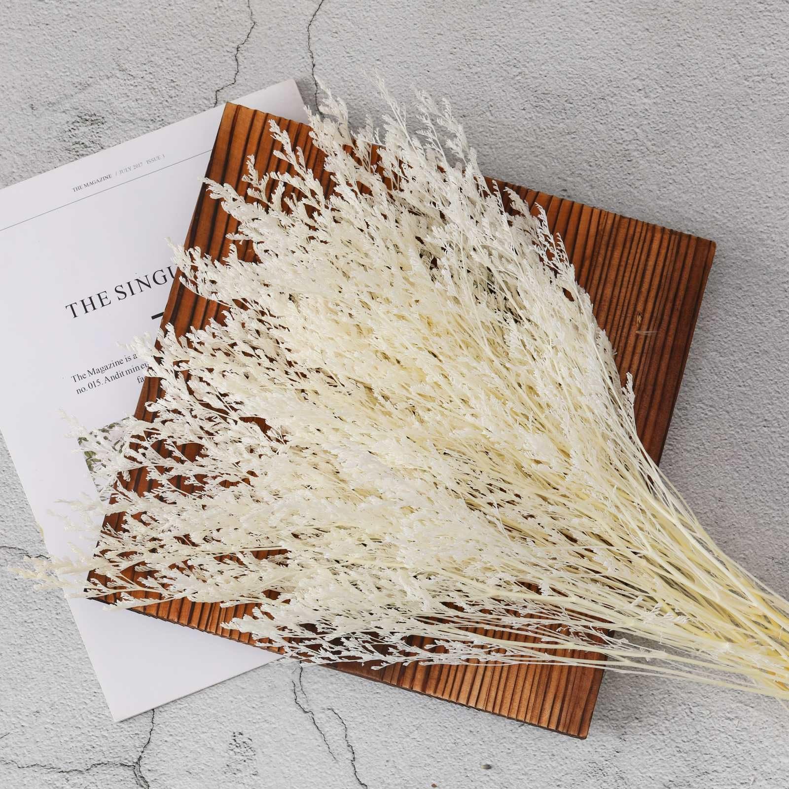Dried Flowers Bouquet, Dry Caspia Flower Bundle, Floral Lavender, Babys Breat…