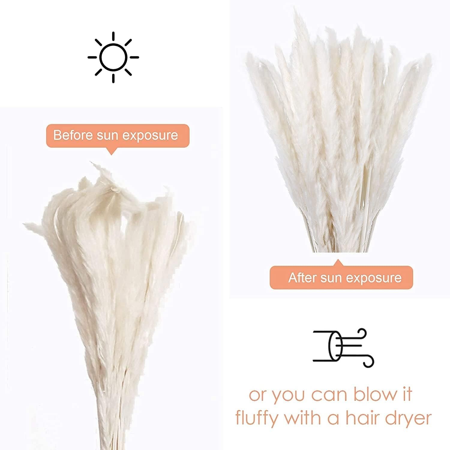 30 Pcs White Pampas Grass ,17 inch/45 cm Natural Dried Pampas Grass Branches …