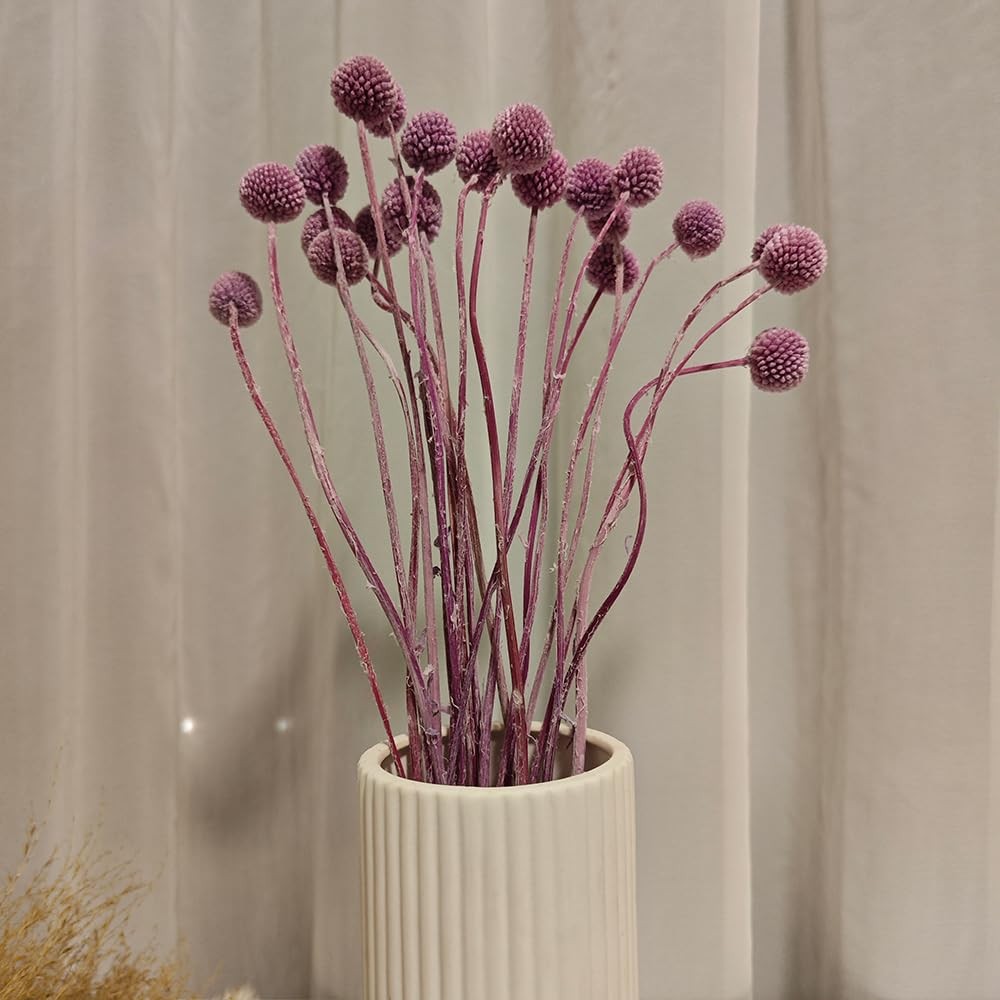 20 PCS Avocado Color Craspedia Billy Balls Natural Dried Flowers Home Decor